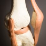 tendon health
